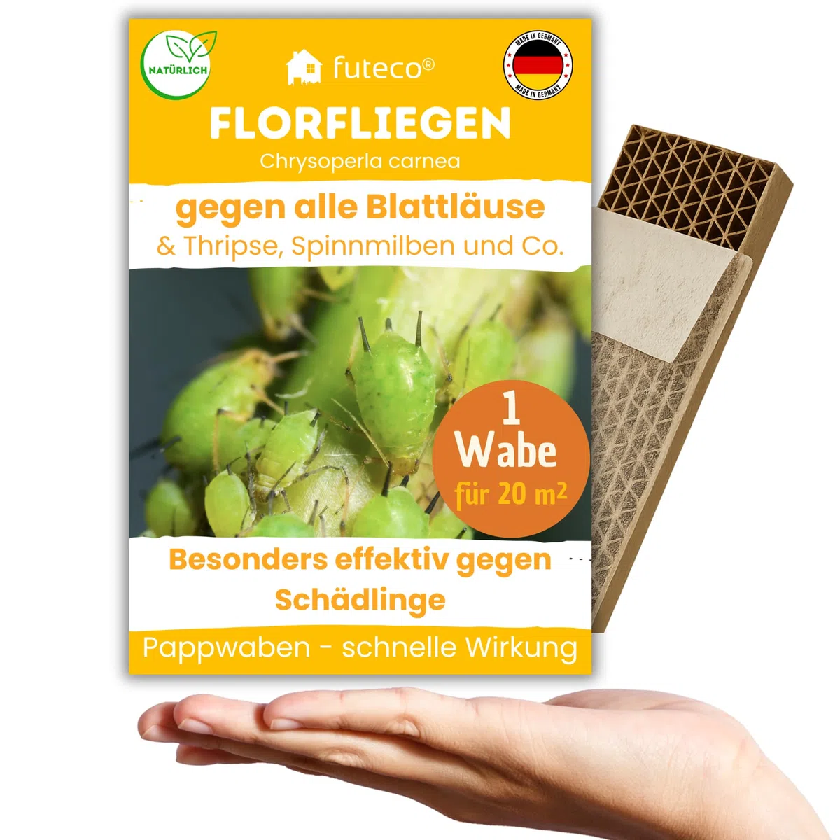 Florfliegenlarven gegen Blattläuse, Spinnmilben, Thripse & Co. - Wabe für besonders schnellen Effekt - 1 Wabe für ca. 20 m² - starke Wirkung bei Gemüse-, Cannab.- & Zierpflanzen