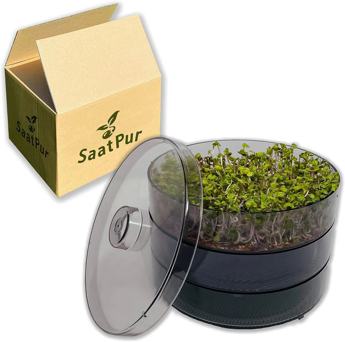 SaatPur® Keimsprossenbox Set 2 mit Zwei Etagen als Sprossen Keimgerät: Sprossen Anzucht sowie Microgreens Anzuchtschalen. Keimbox, Keimschale, Keimschachtel, Sprossenbox, Sprossenhaus, Keimgerät