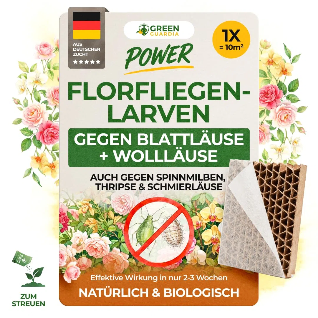 GREEN GUARDIA Florfliegenlarven gegen Blattläuse, Wollläuse, Thripse & Spinnmilben– Wabe für besonders schnellen Effekt - 1 Wabe für bis zu 10 m² – Für Zimmer-, Gemüse- & Zierpflanzen