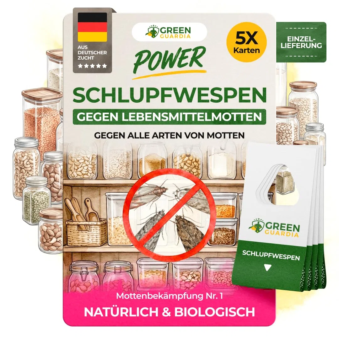 GREEN GUARDIA Schlupfwespen gegen Lebensmittelmotten - 5 Karten à 1 Lieferung - Effektiv & unweltfreundlich Lebensmittel Motten bekämpfen - Alternative zur Mottenfalle, Mottenspray, Pheromonfalle
